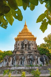 A majestic golden temple in Chiang Mai adorned with elephant sculptures, framed by lush leaves.
